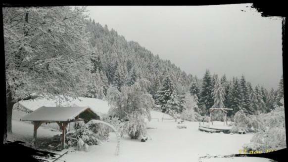 B&B Lo Scoiattolo Nebbiu Extérieur photo